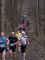 faschingswaldlauf100_2596.jpg